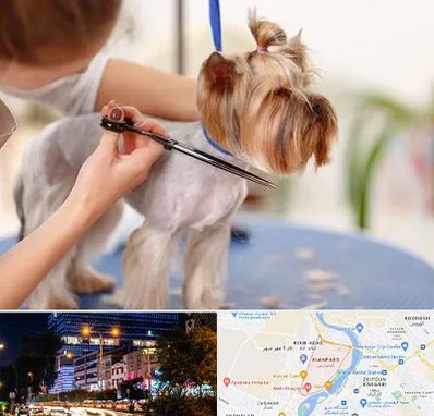 آرایشگاه سگ در کیانپارس اهواز