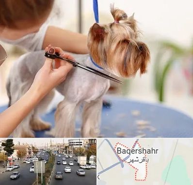 آرایشگاه سگ در باقرشهر