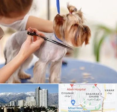 آرایشگاه سگ در شهرک غرب 