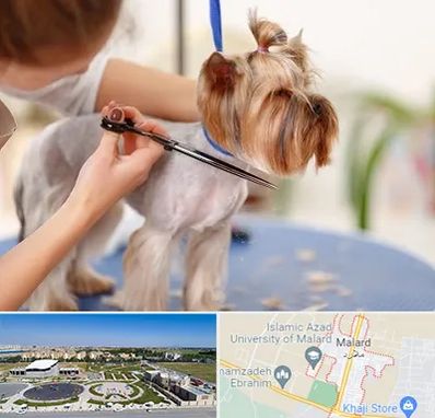 آرایشگاه سگ در ملارد