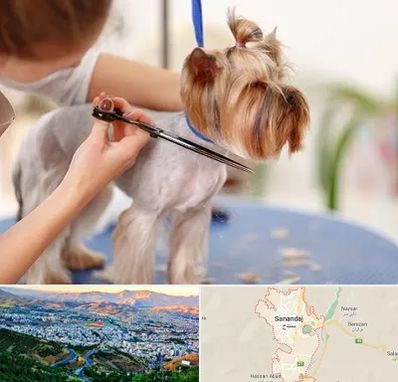 آرایشگاه سگ در سنندج