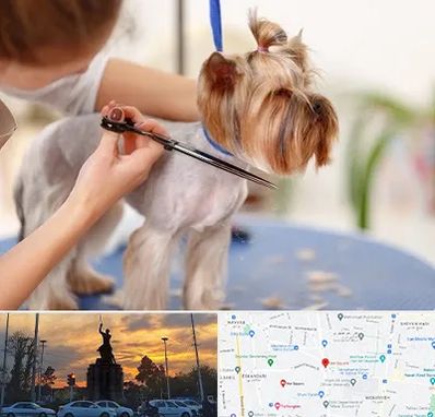 آرایشگاه سگ در میدان حر