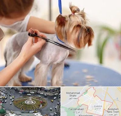 آرایشگاه سگ در فردیس کرج