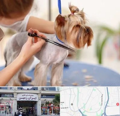 آرایشگاه سگ در ایران زمین