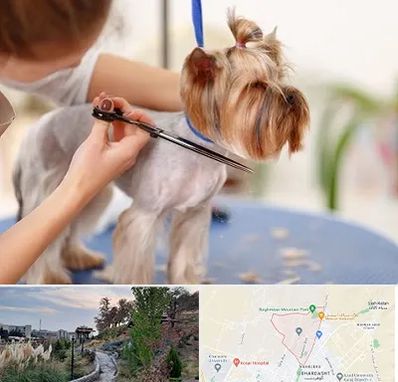 آرایشگاه سگ در باغستان کرج