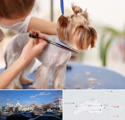 آرایشگاه سگ در ماهدشت کرج