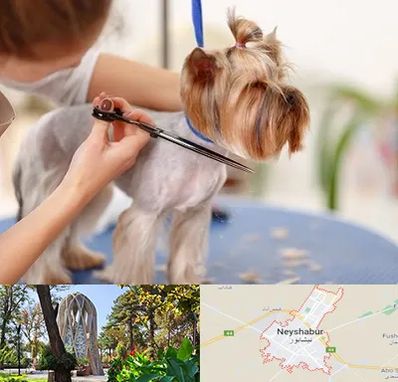 آرایشگاه سگ در نیشابور