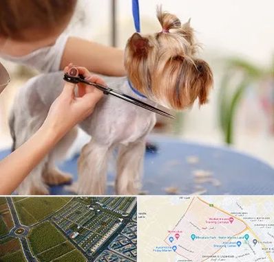 آرایشگاه سگ در الهیه مشهد