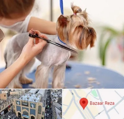 آرایشگاه سگ در بازار رضا مشهد