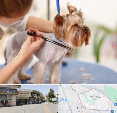 آرایشگاه سگ در پرواز تبریز