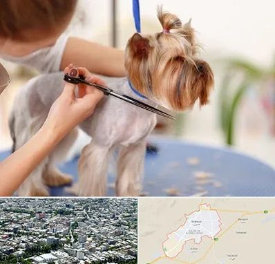 آرایشگاه سگ در شاهرود