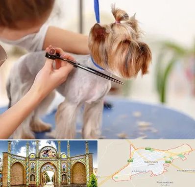 آرایشگاه سگ در سمنان