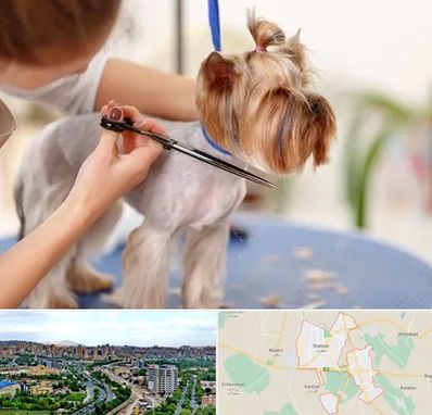 آرایشگاه سگ در شهریار