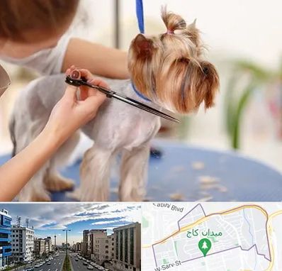 آرایشگاه سگ در سعادت آباد 