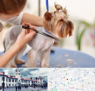 آرایشگاه سگ در میدان شهرداری رشت