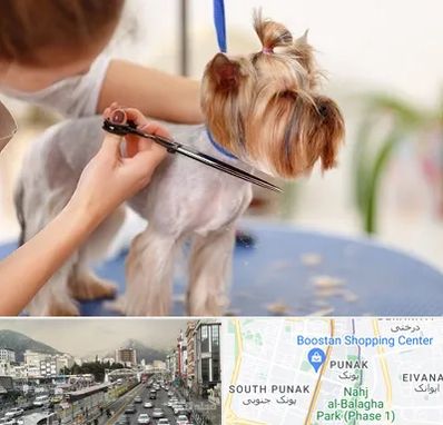 آرایشگاه سگ در پونک 
