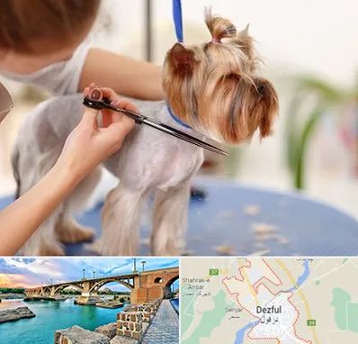 آرایشگاه سگ در دزفول