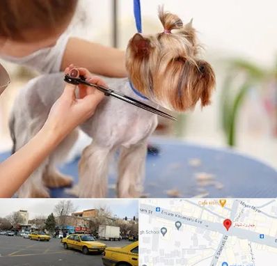 آرایشگاه سگ در شهناز تبریز
