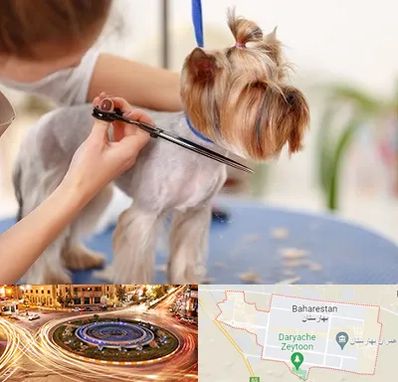 آرایشگاه سگ در بهارستان