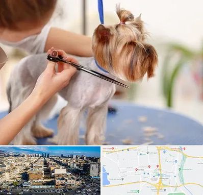 آرایشگاه سگ در شهرک راه آهن