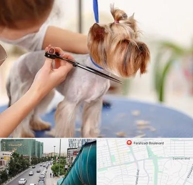 آرایشگاه سگ در بلوار فرحزادی