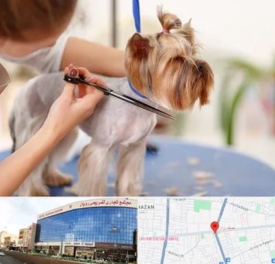 آرایشگاه سگ در نصف راه تبریز