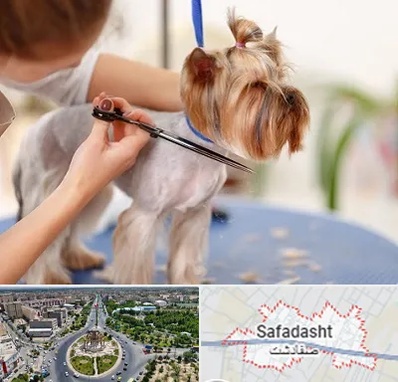 آرایشگاه سگ در صفادشت
