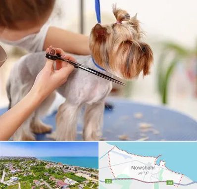 آرایشگاه سگ در نوشهر
