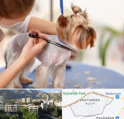 آرایشگاه سگ در اختیاریه