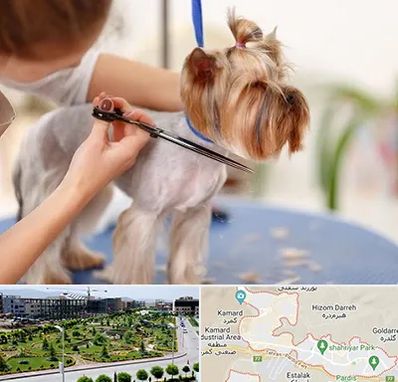آرایشگاه سگ در پردیس