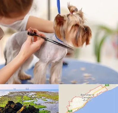 آرایشگاه سگ در بندرلنگه