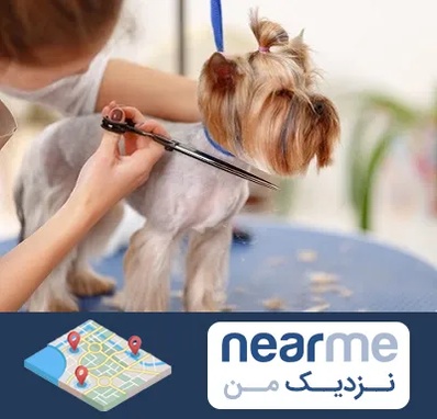 آرایشگاه سگ در نزدیک من