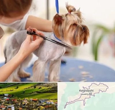 آرایشگاه سگ در کلاردشت