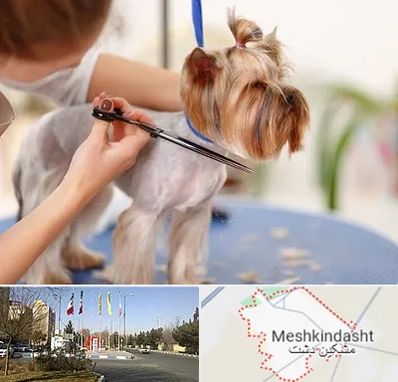 آرایشگاه سگ در مشکین دشت