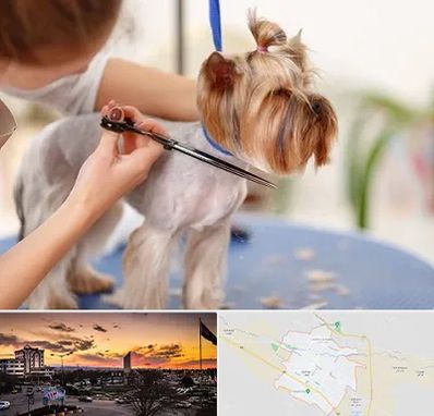 آرایشگاه سگ در قوچان