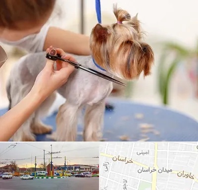 آرایشگاه سگ در میدان خراسان