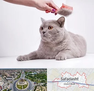 آرایشگاه گربه در صفادشت