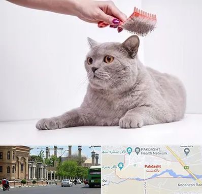 آرایشگاه گربه در پاکدشت