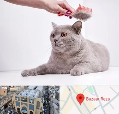 آرایشگاه گربه در بازار رضا مشهد