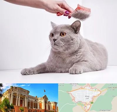 آرایشگاه گربه در خوی