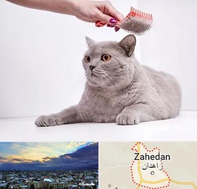 آرایشگاه گربه در زاهدان