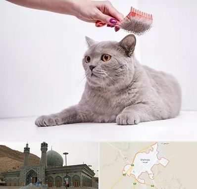 آرایشگاه گربه در شهرضا