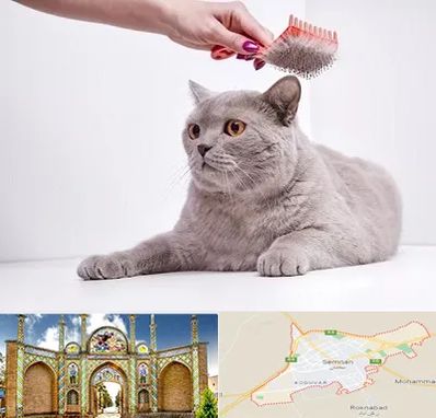 آرایشگاه گربه در سمنان