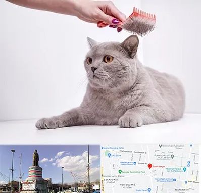 آرایشگاه گربه در کارگر جنوبی
