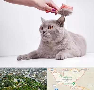 آرایشگاه گربه در شهرکرد