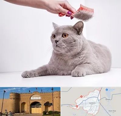 آرایشگاه گربه در ایرانشهر