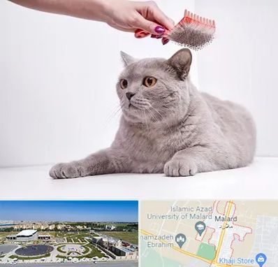 آرایشگاه گربه در ملارد