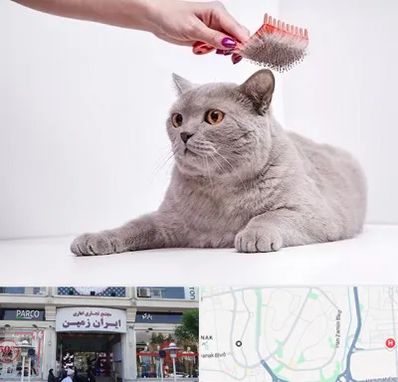 آرایشگاه گربه در ایران زمین
