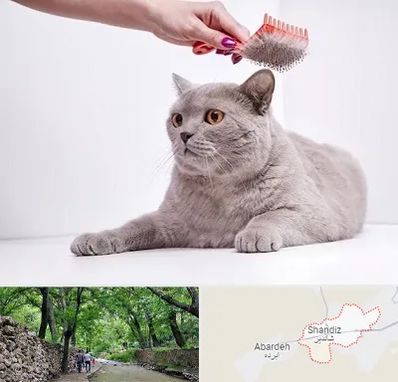 آرایشگاه گربه در شاندیز مشهد