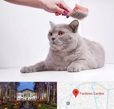 آرایشگاه گربه در باغ فردوس